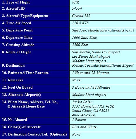 Filing with FAA Briefer: Step 2